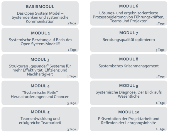 systemische-beratungskompetenzen-module.png 