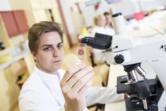Das Imagefoto von OuPL zeigt einen Studierenden, der in einem Labor vor einem Mikroskop sitzt.