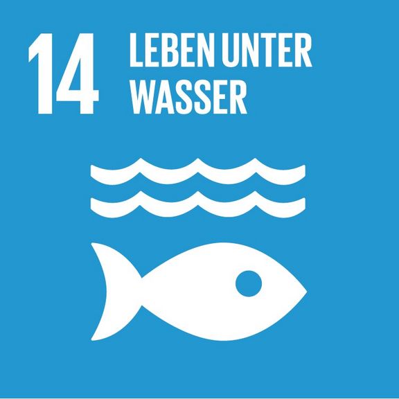 SDG – Leben unter Wasser
