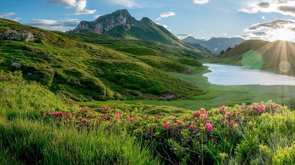 idyllisches Landschaftsfoto mit Bergen, grünen Wiesen, Blumen und einem See