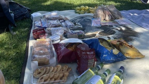 Picknick.jpg 