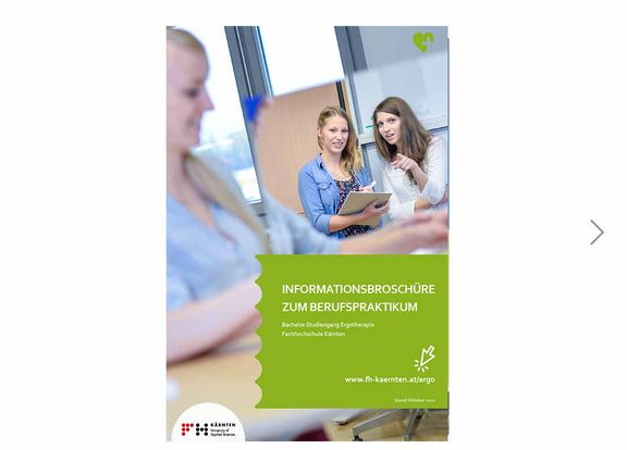 Informationsbroschüre zum Berufspraktikum (Curriculum 2020)