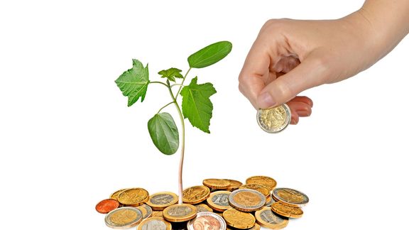 Imagebild: Pflanze wächst aus kleinem Hügel aus Münzen; aus der rechten oberen Ecke ragt eine Hand, die eine zusätzliche Münze hinzufügt. Weißer Hintergrund
