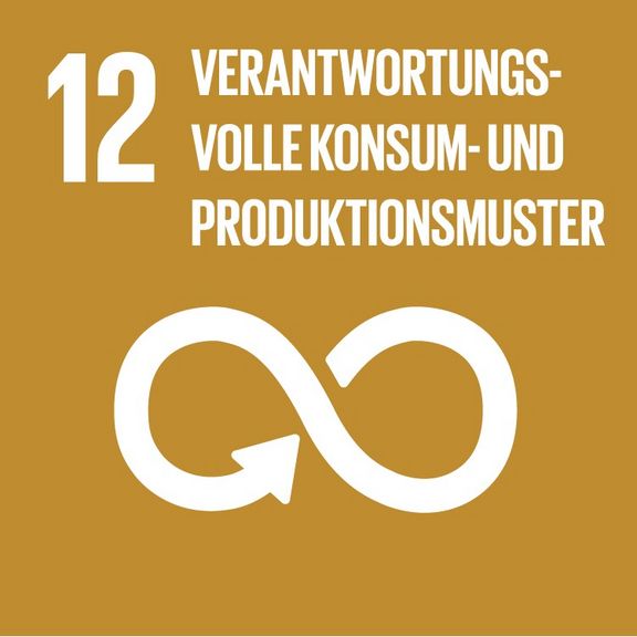 SDG – verantwortungsvolle Konsum- und Produktionsmuster