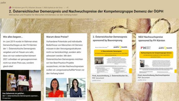 Grafik über die Kompetenzgruppe Demenz ÖGPH