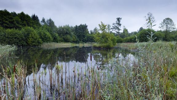 Biodiversity monitoring systems Klagenfurt