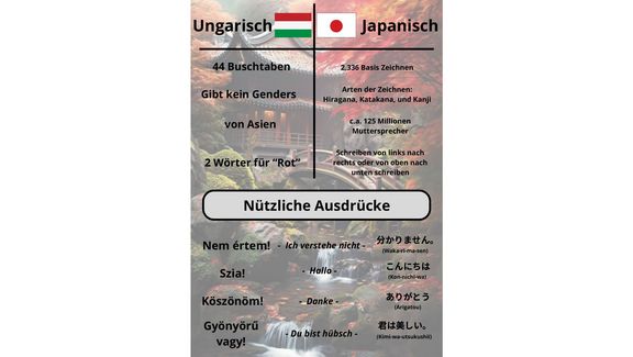 Poster "Ungarisch vs. Japanisch"