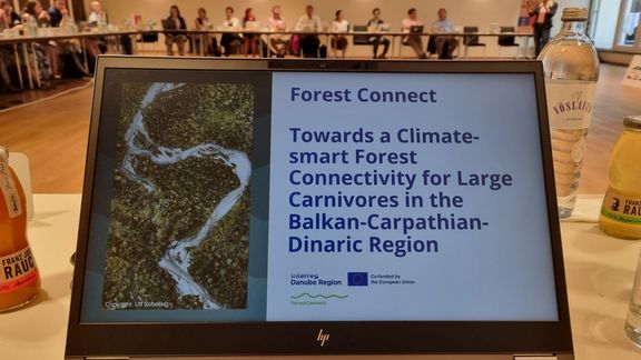 Forest Connect