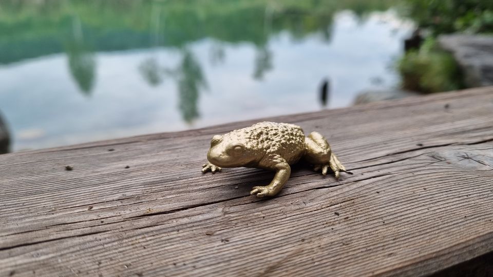 Goldene Unke 
