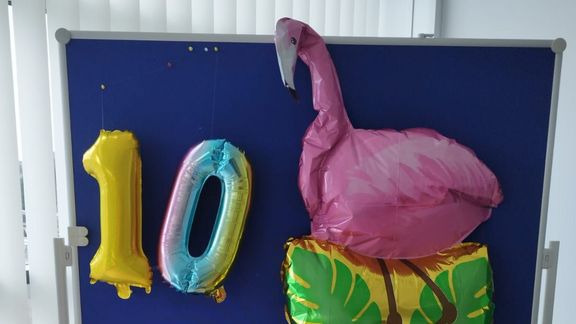 10-jubilaeum-soz-bb-flamingo.jpeg 