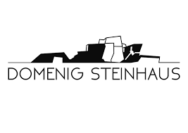 domenig-steinhaus-logo.png 