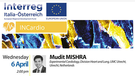 INCardio-Webinar: Maschinelle Ex-Vivo Perfusion Beitragsbild-INCardio-Webinar-06042022.jpg